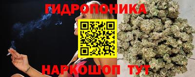 гашиш Краснознаменск