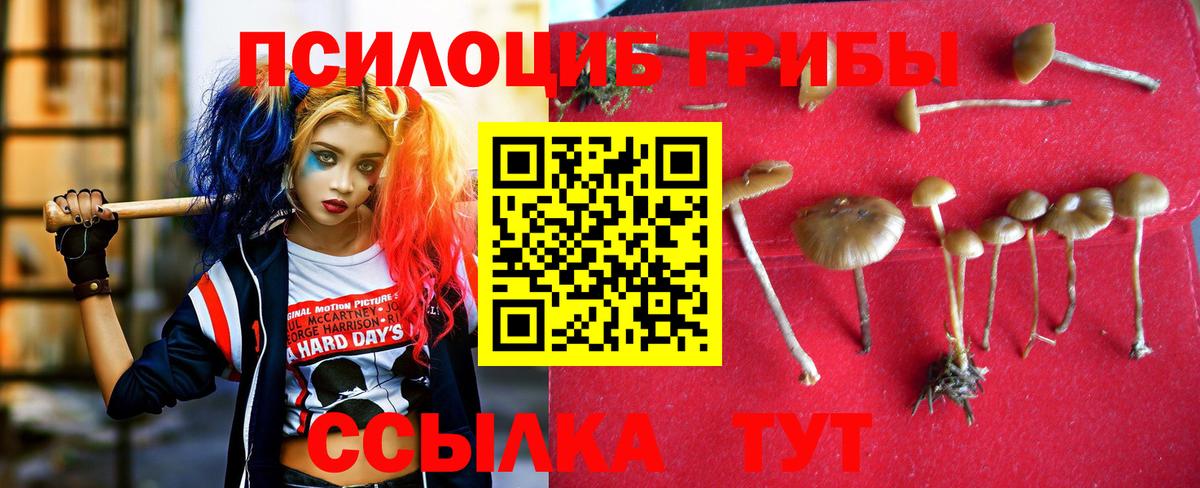 Галлюциногенные грибы прущие грибы Зеленокумск