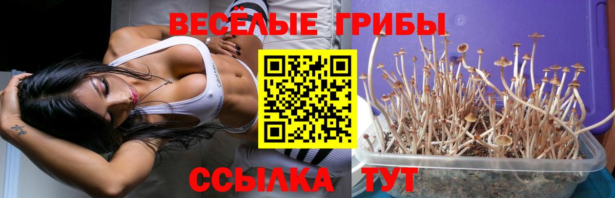 Зеленокумск  Псилоцибиновые грибы прущие грибы  Вход с VPN 